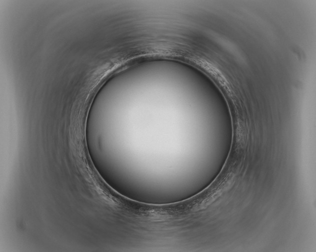 X0000115500481200911061330