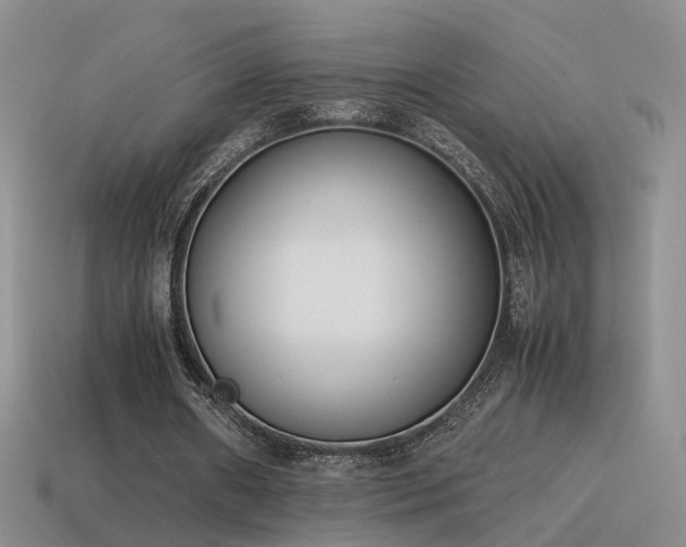 X0000115500482200911061330