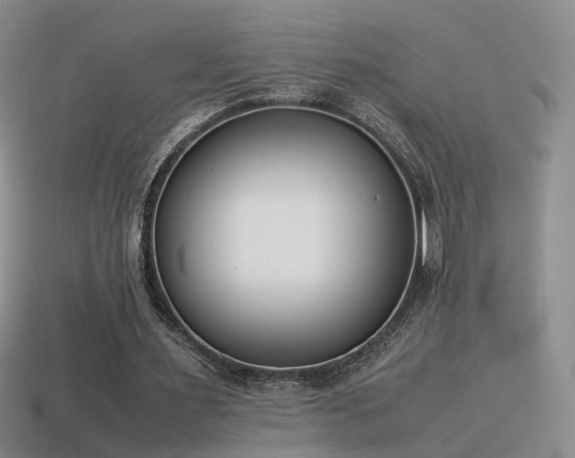 X0000115500483200911061330