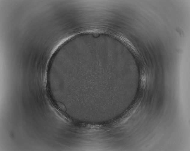 X0000115500484200911061330