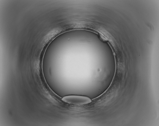 X0000115500485200911061330