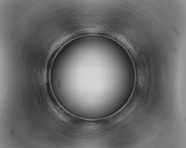X0000115500486200911061330