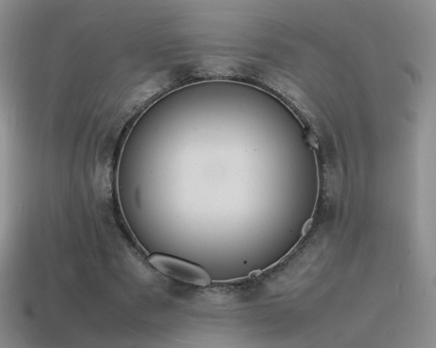 X0000115500489200911061330