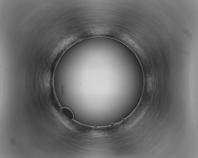 X0000115500490200911061330