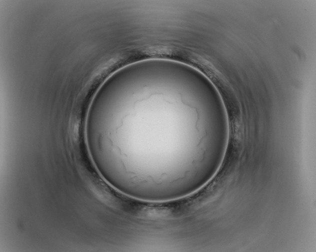 X0000115500491200911061330