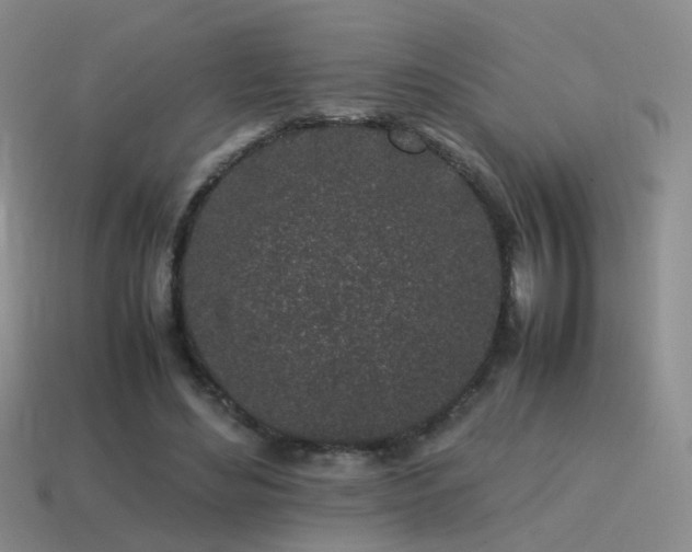 X0000115500492200911061330
