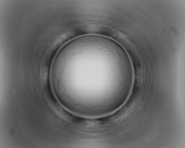 X0000115500495200911061330