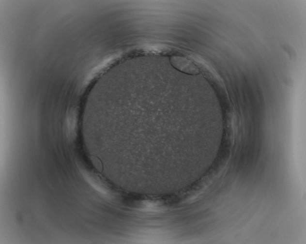 X0000115500496200911061330