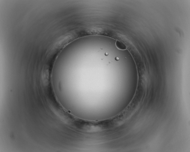 X0000115500498200911061330