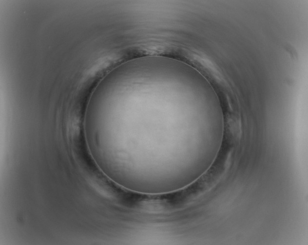X0000115500499200911061330