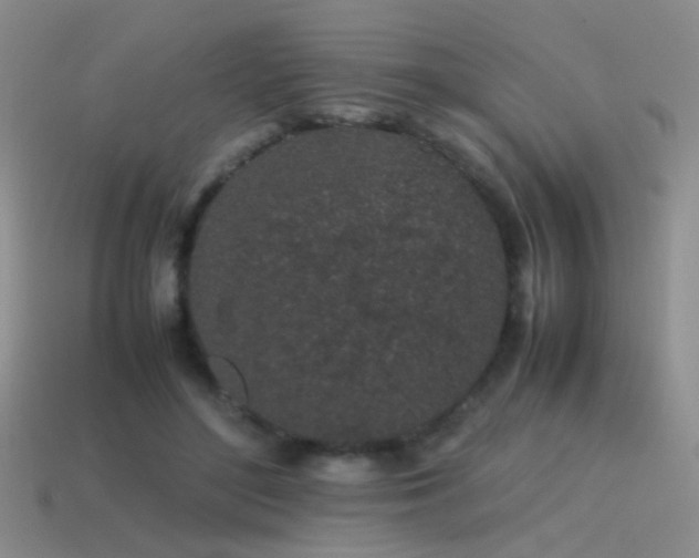 X0000115500500200911061330
