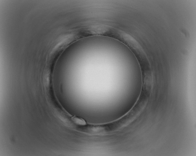 X0000115500501200911061330