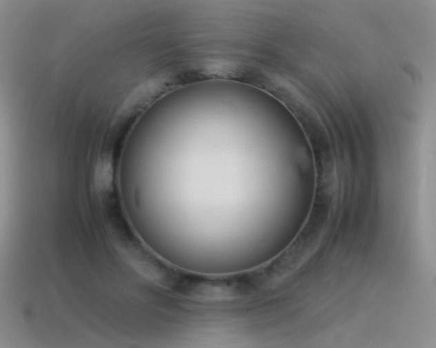 X0000115500502200911061330