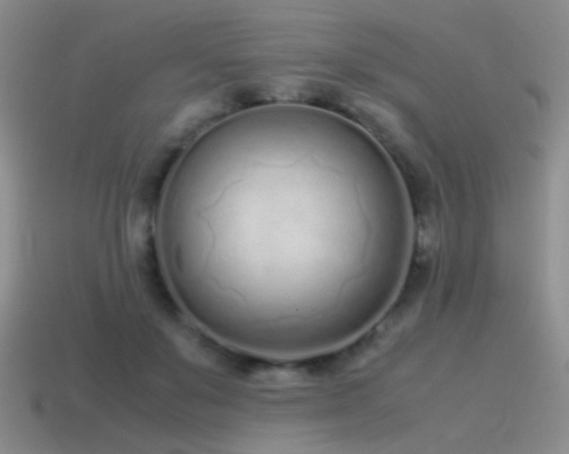 X0000115500503200911061330