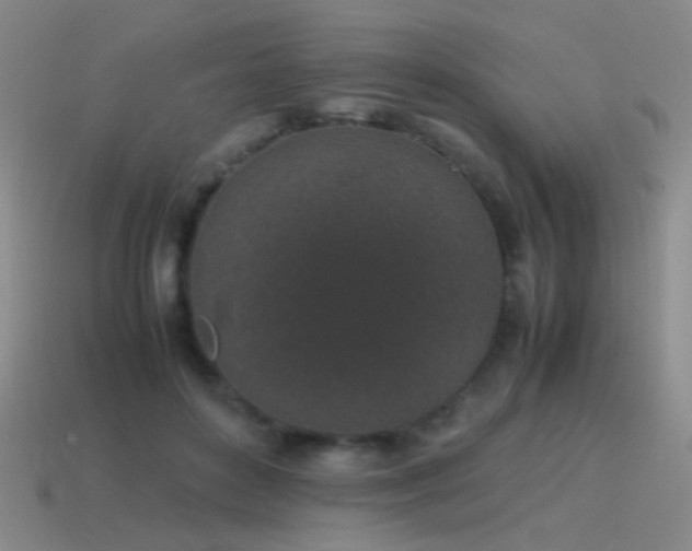 X0000115500504200911061330