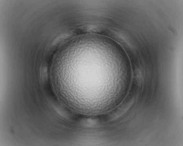 X0000115500506200911061330