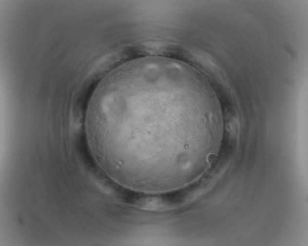 X0000115500507200911061330