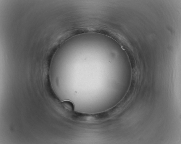 X0000115500509200911061330