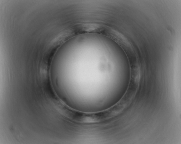X0000115500510200911061330