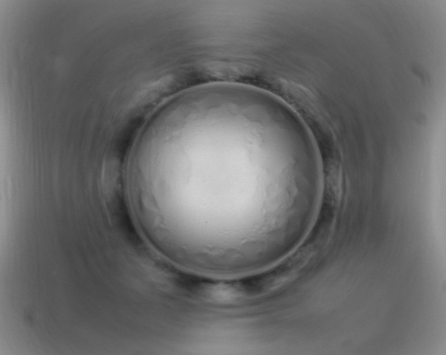 X0000115500511200911061330