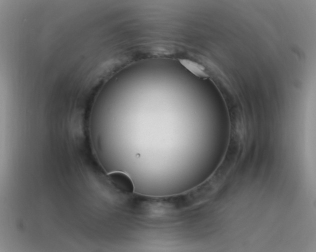X0000115500512200911061330