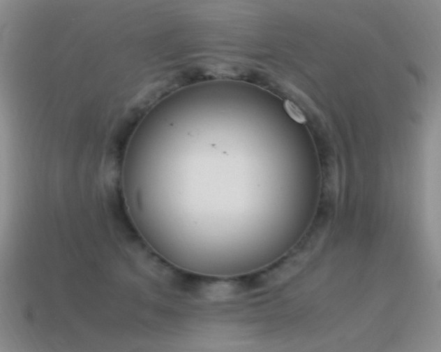 X0000115500513200911061330