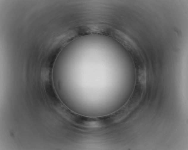 X0000115500514200911061330