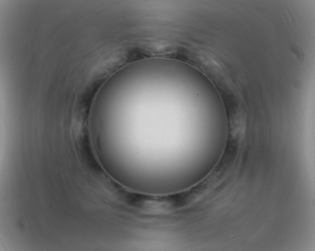 X0000115500515200911061330