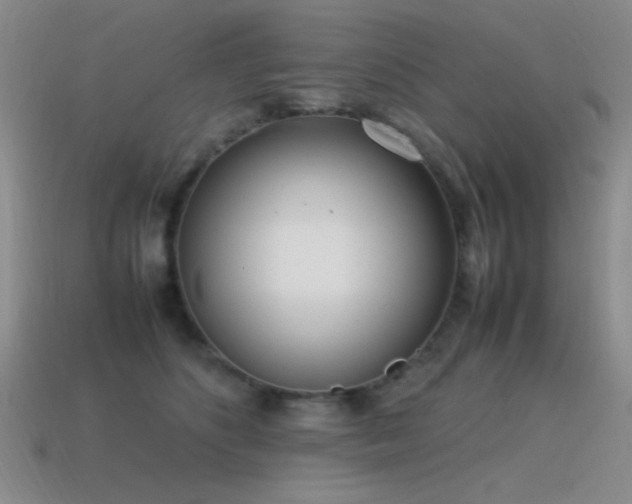 X0000115500516200911061330