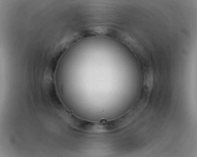 X0000115500518200911061330