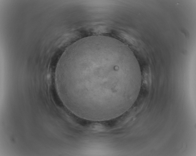 X0000115500519200911061330