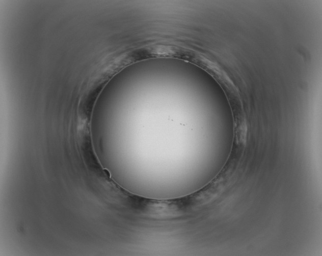 X0000115500521200911061330
