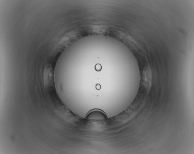 X0000115500522200911061330