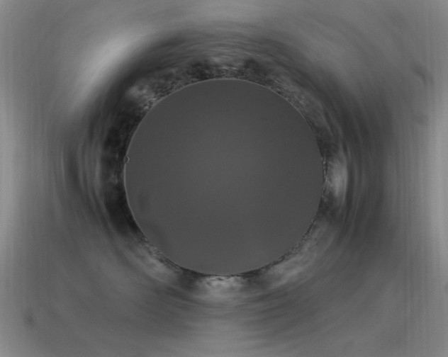 X0000115500526200911061330