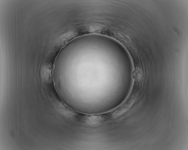 X0000115500527200911061330