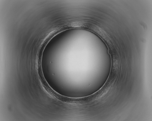X0000115500530200911061329