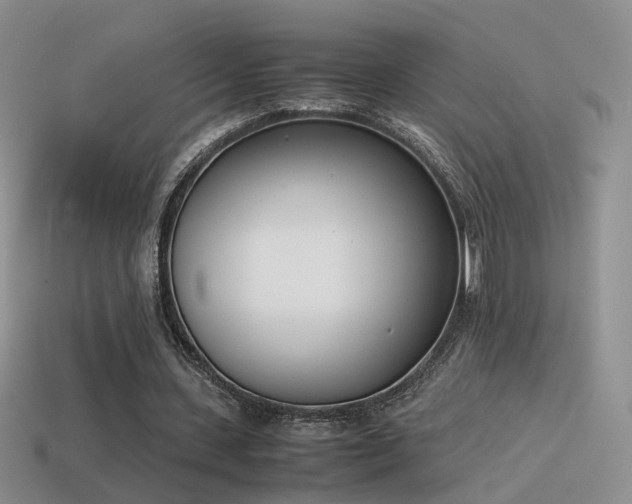 X0000115500531200911061329