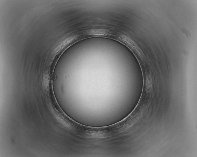 X0000115500533200911061329