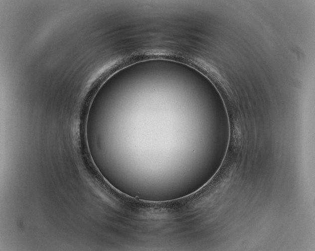 X0000115500535200911061329