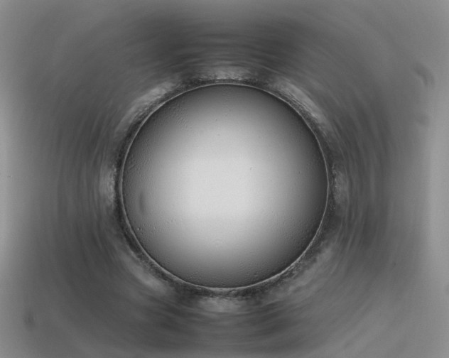 X0000115500537200911061329