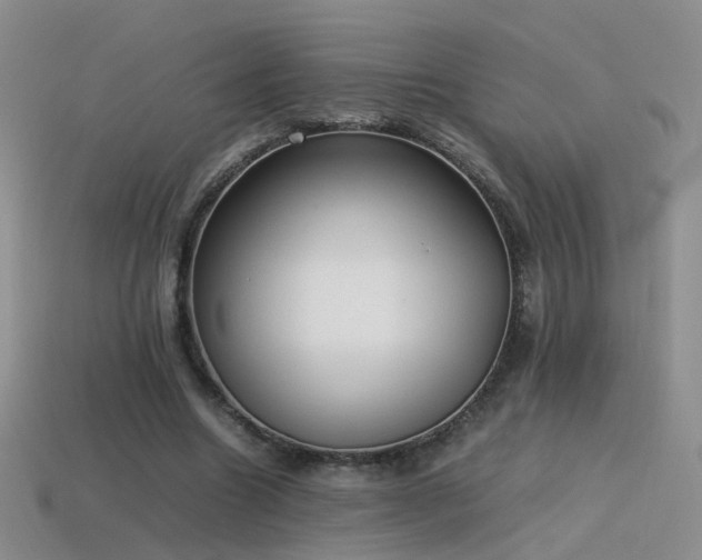 X0000115500538200911061329