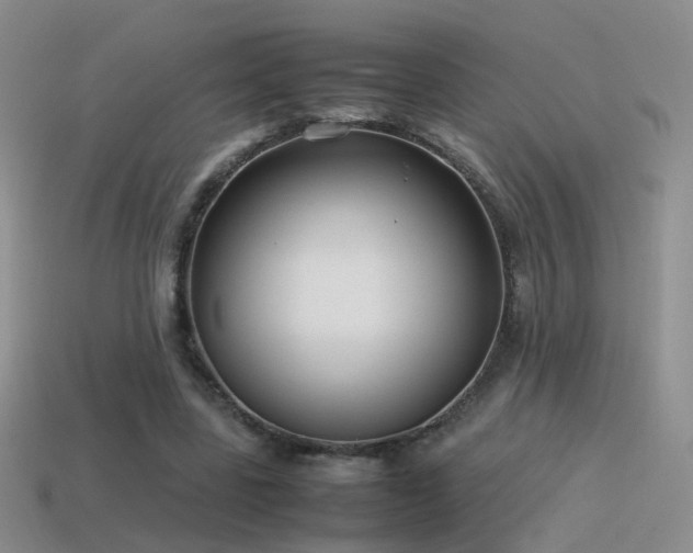 X0000115500539200911061329