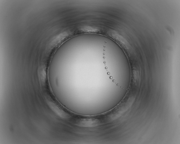 X0000115500541200911061329