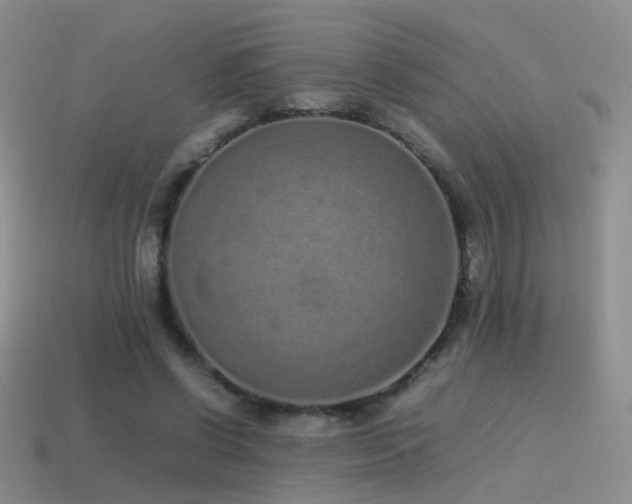 X0000115500542200911061329
