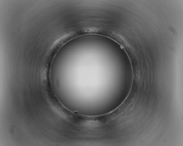 X0000115500543200911061329