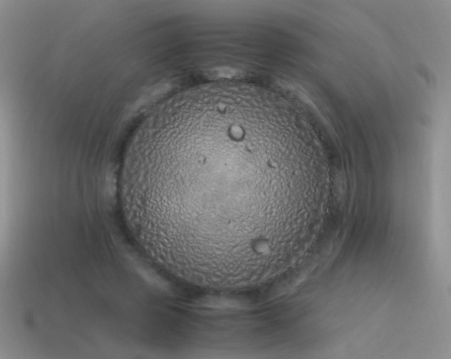 X0000115500545200911061329