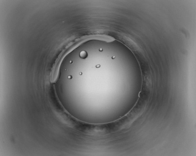 X0000115500546200911061329
