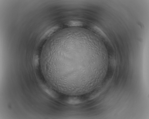 X0000115500549200911061329