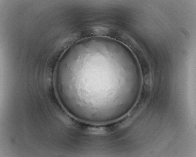 X0000115500553200911061329