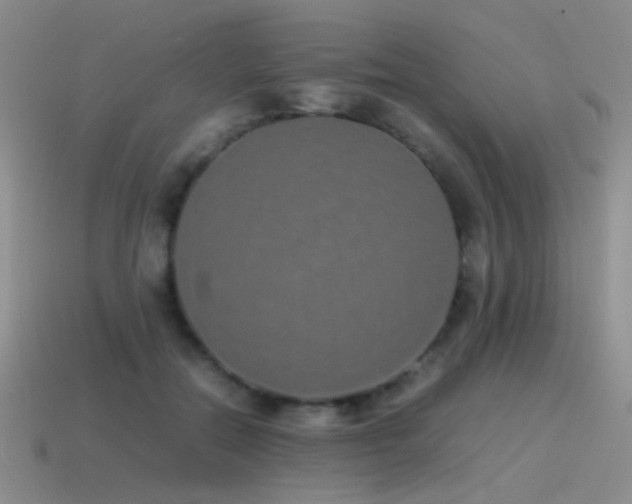 X0000115500554200911061329
